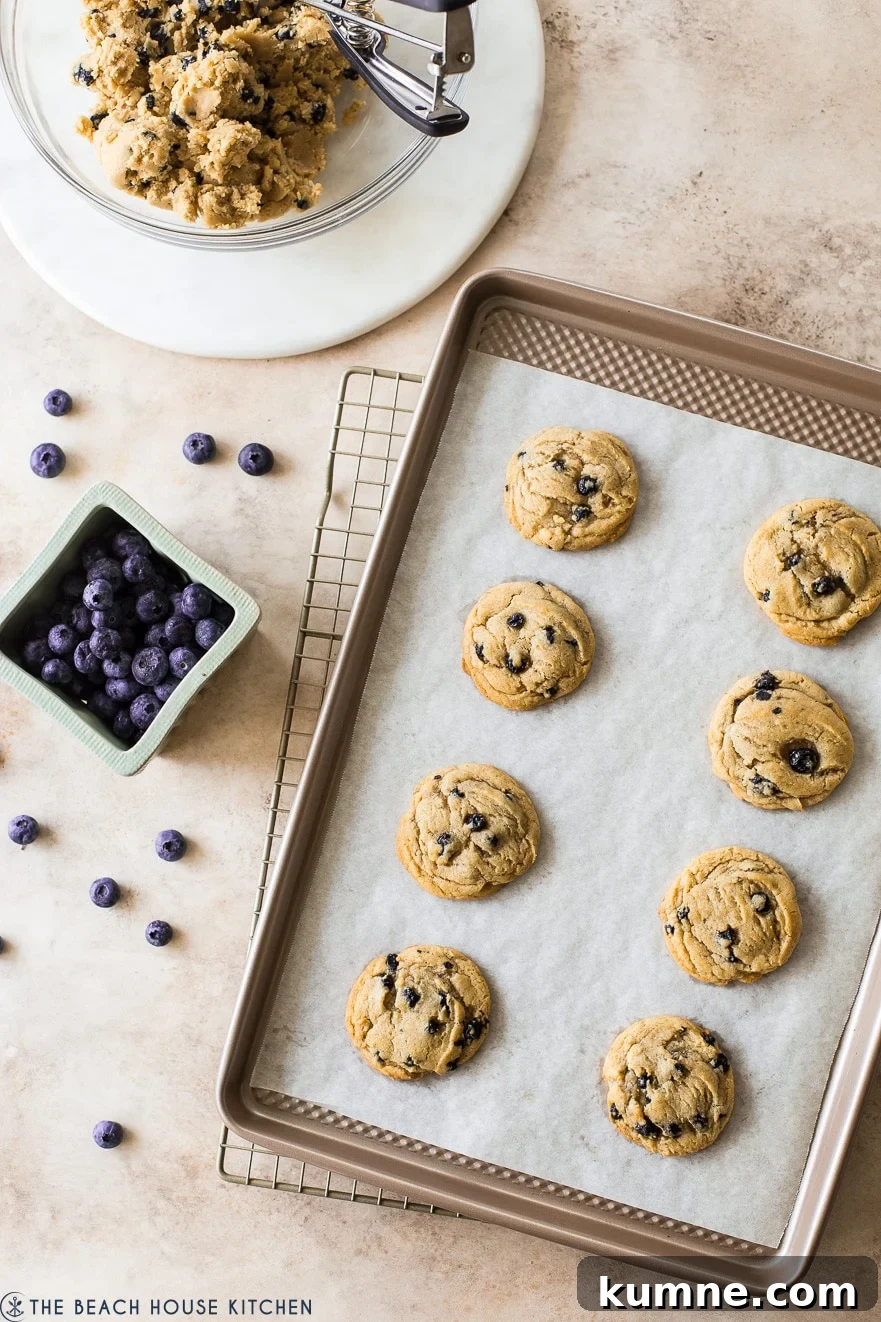Chewy Brown Sugar Cookies with Fresh Blueberries 6 Overhead photo of baked cookies on a parchment lined sheet with a basket of blueberries off to the side