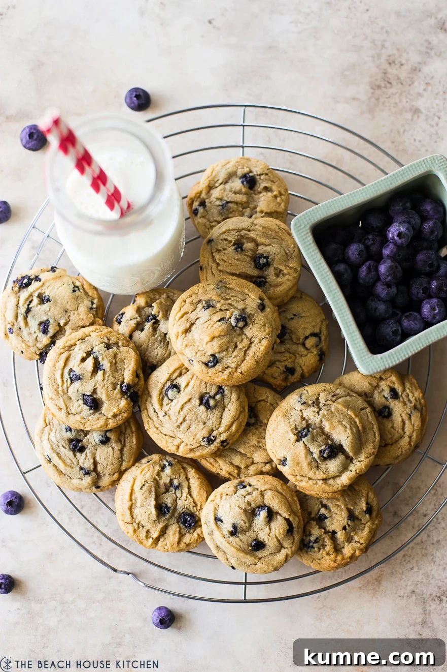 Chewy Brown Sugar Cookies with Fresh Blueberries 7 Overhead photo of cookies on a round wire rack with a bottle of milk and a basket of blueberries