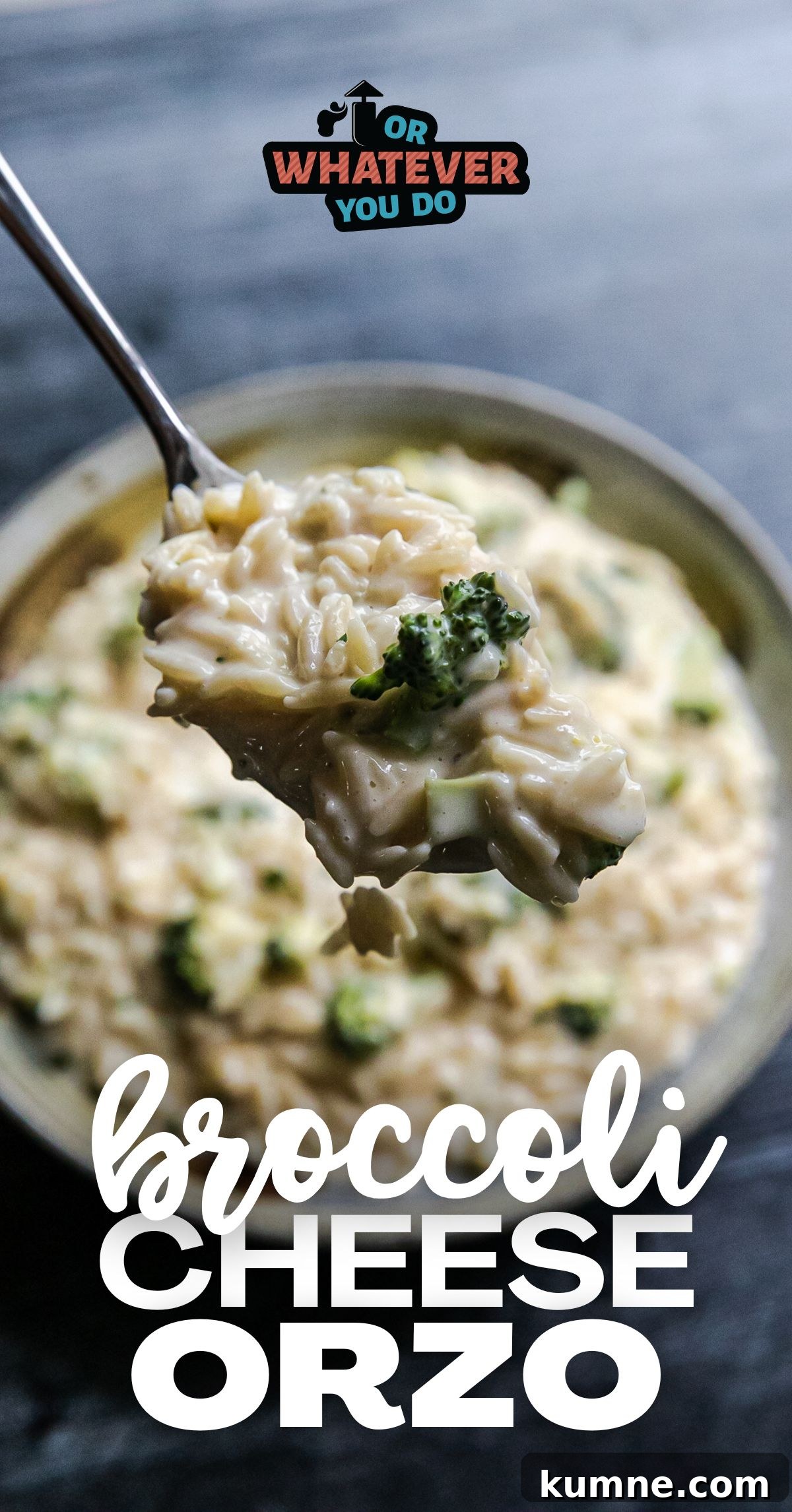 Cheesy Broccoli Orzo Bake with Garlic and Lemon 2 Broccoli Cheese Orzo