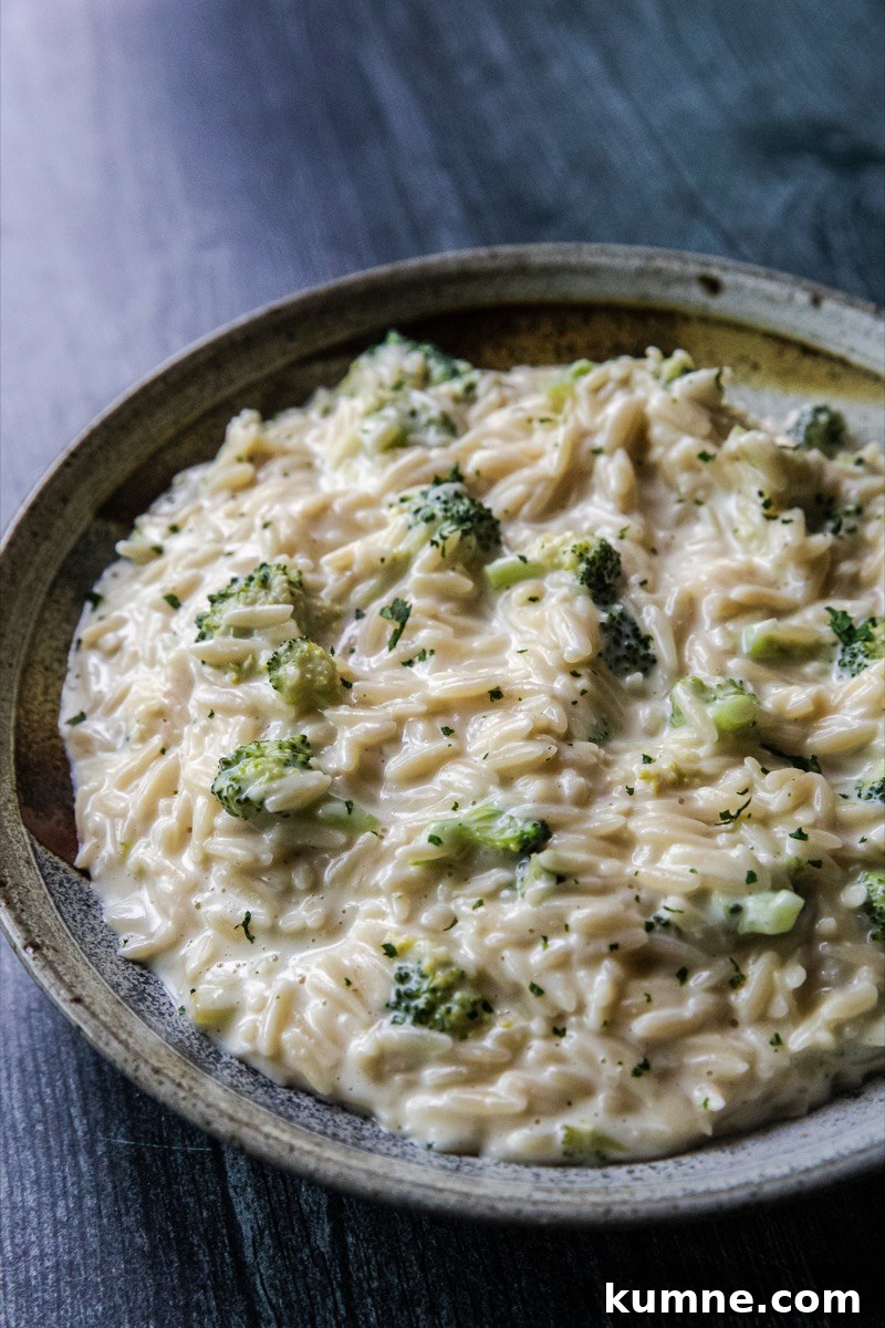 Cheesy Broccoli Orzo Bake with Garlic and Lemon 3 img 4357 2