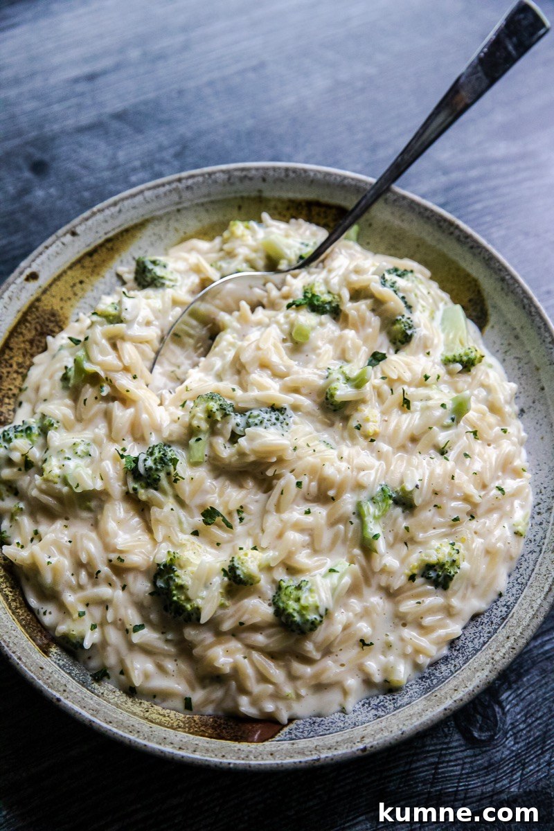 Cheesy Broccoli Orzo Bake with Garlic and Lemon 4 Broccoli Cheese Orzo