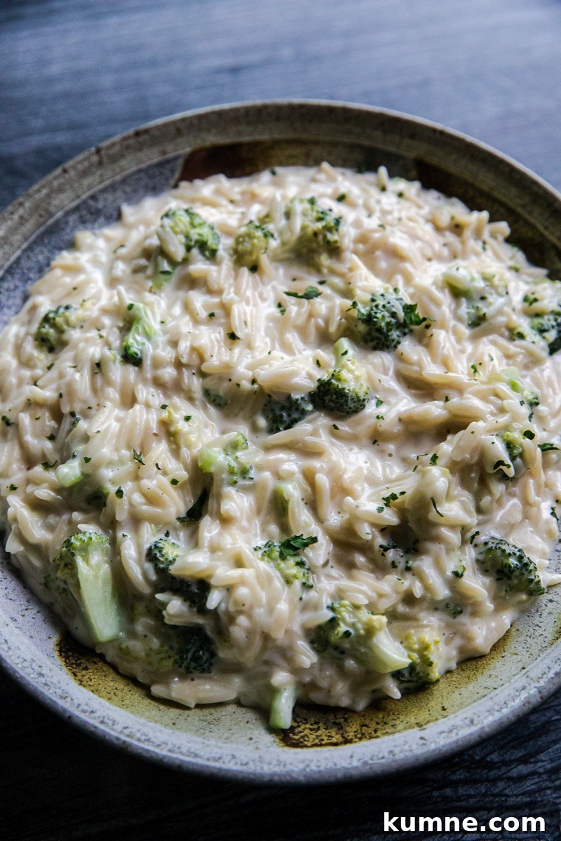 Cheesy Broccoli Orzo Bake with Garlic and Lemon 5 Broccoli Cheese Orzo