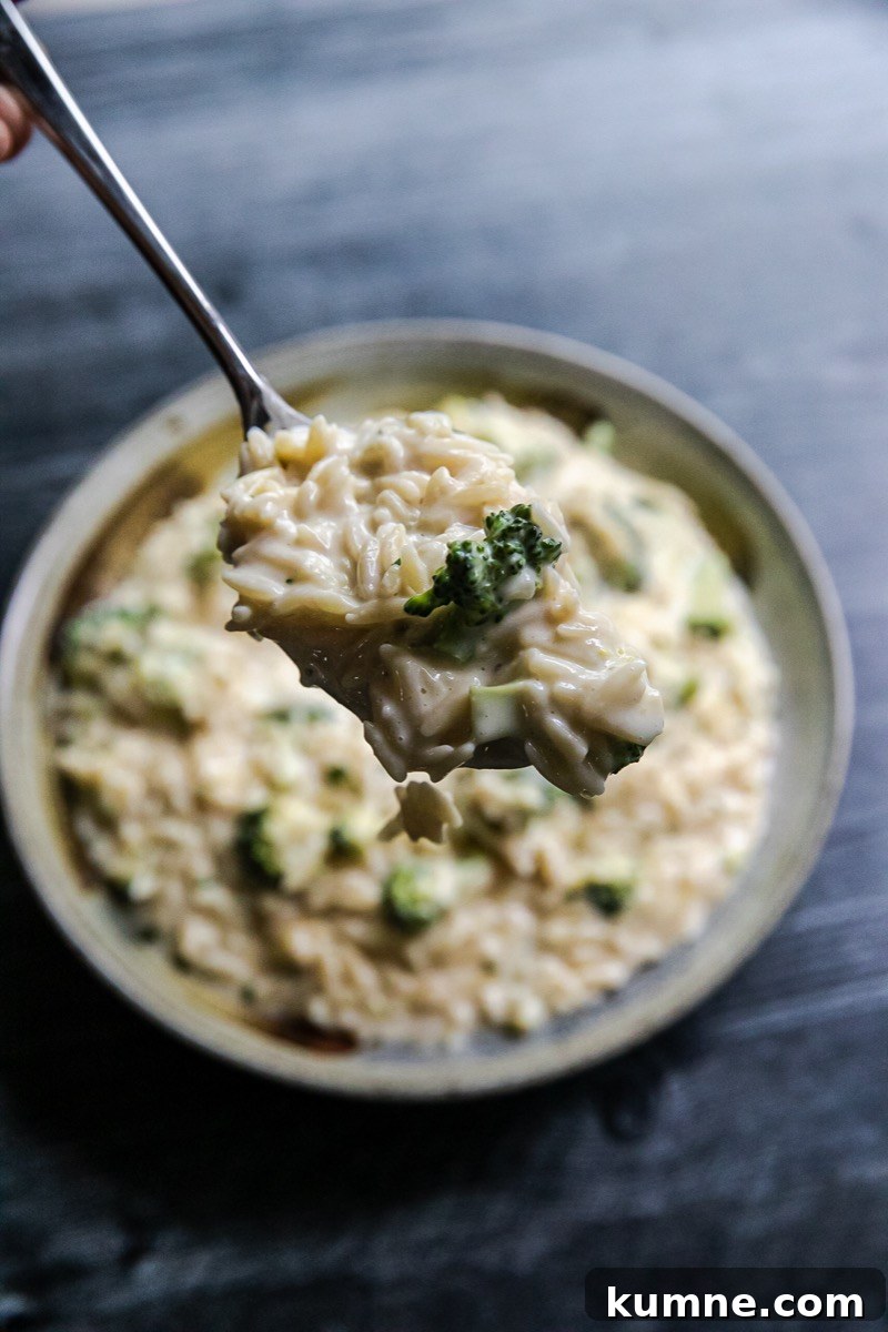 Cheesy Broccoli Orzo Bake with Garlic and Lemon 6 Broccoli Cheese Orzo