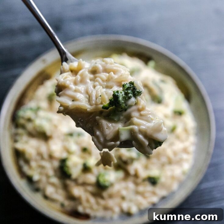 Broccoli Cheese Orzo