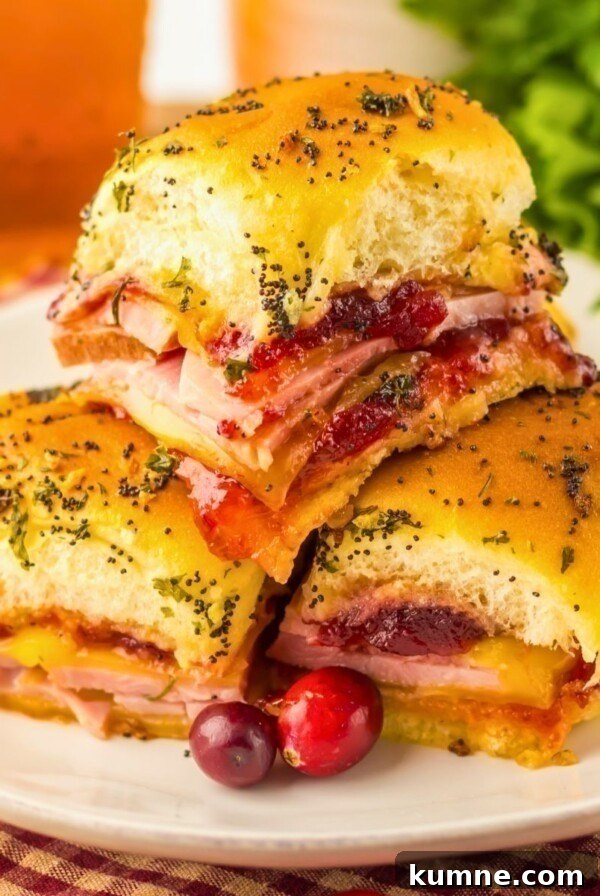 Berry Caprese Salad with Balsamic Glaze and Fresh Basil 9 Cranberry and ham sliders stacked on a white plate with red cranberries as a garnish.