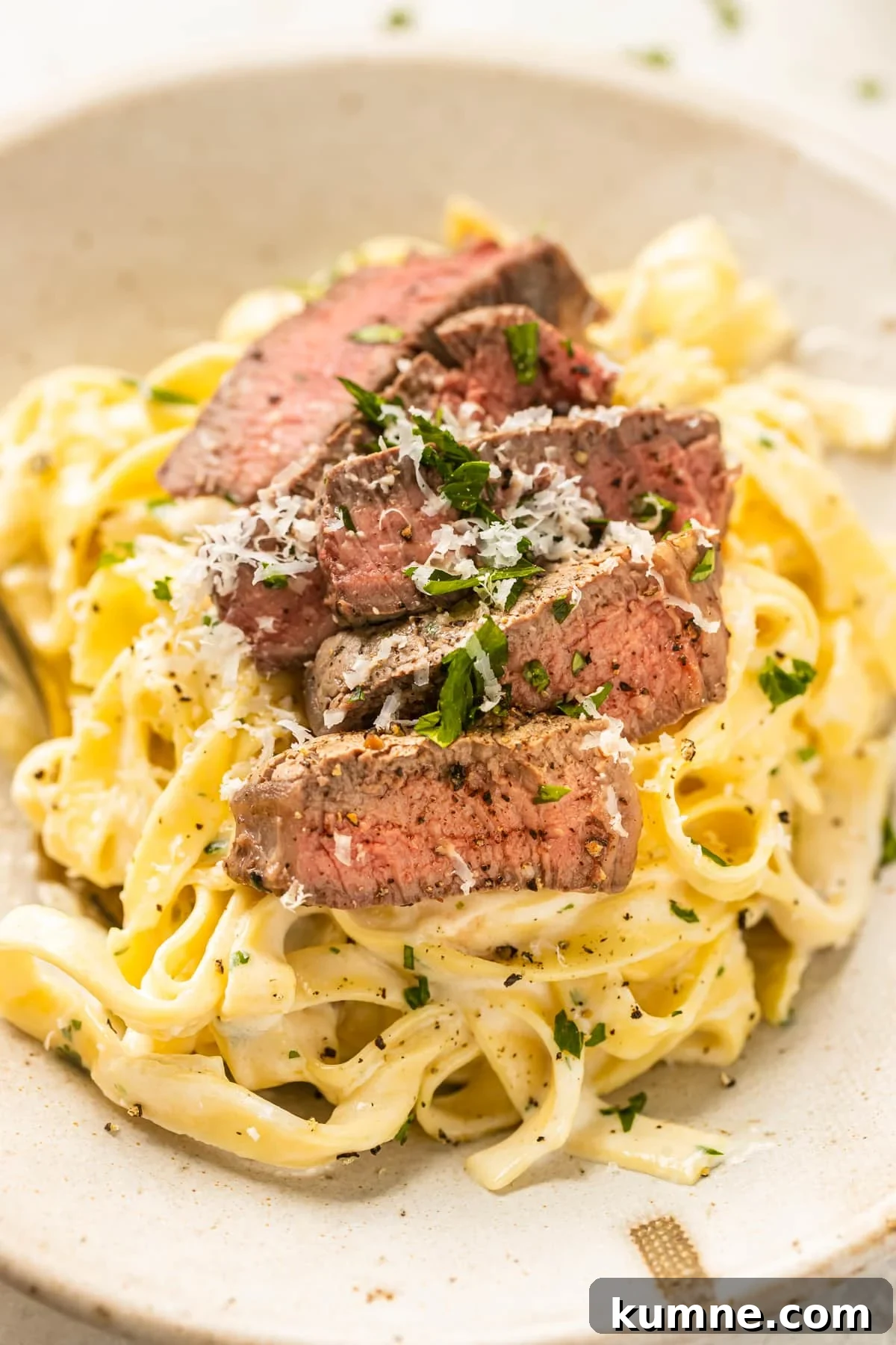 pasta in a bowl topped with steak and garnished with Parmesan cheese and fresh parsley.