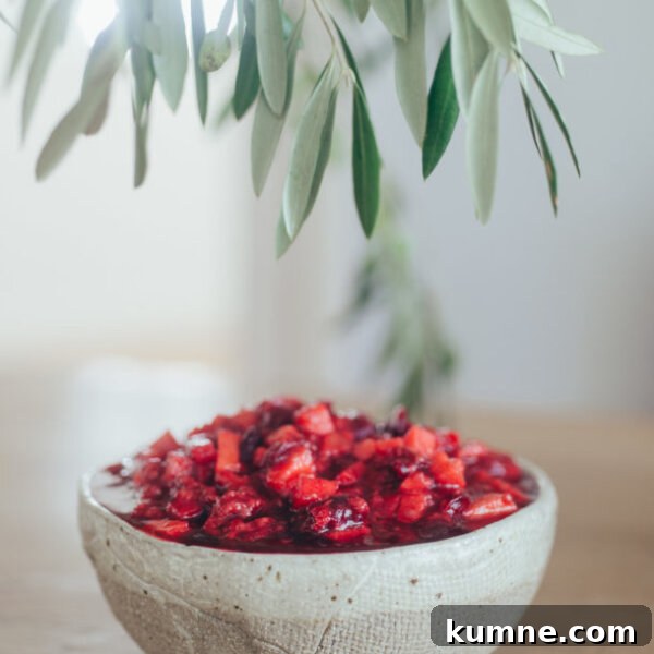 Cranberry Sauce with Apples and Raspberries | Pamela Salzman