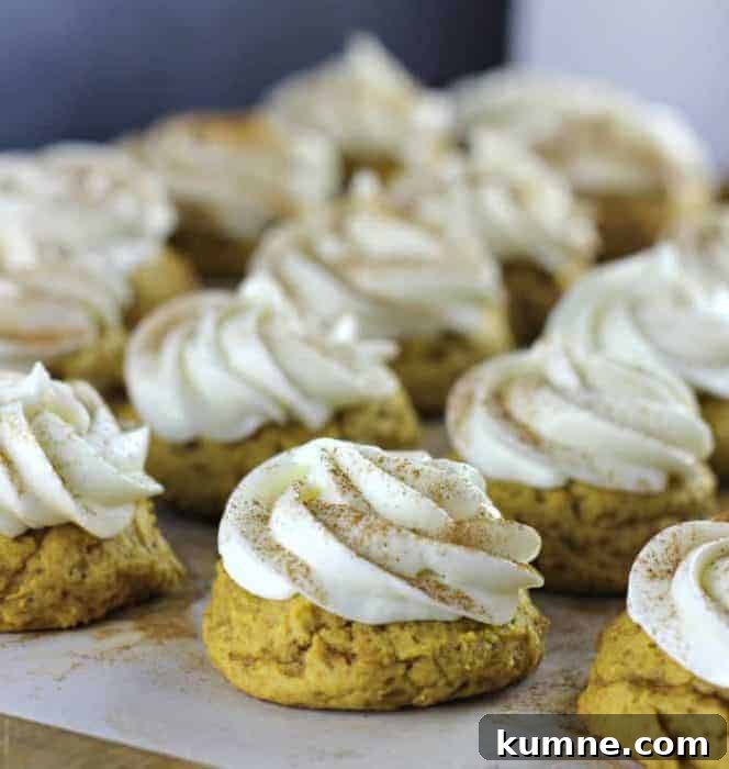 Ultimate Soft Pumpkin Cookies