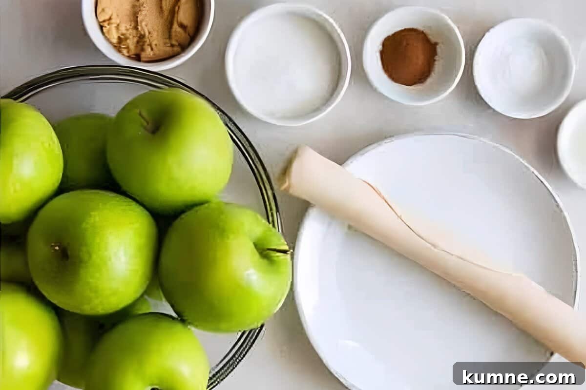 Authentic Dutch Apple Pie Recipe: Classic Ouderwets Appeltaart Guide 10 Ingredients for Dutch apple pie.