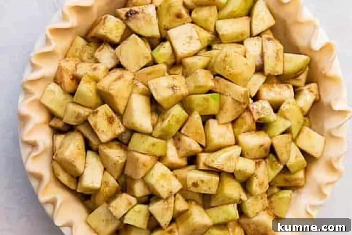 Authentic Dutch Apple Pie Recipe: Classic Ouderwets Appeltaart Guide 14 apple pie filling on a crimped crust.