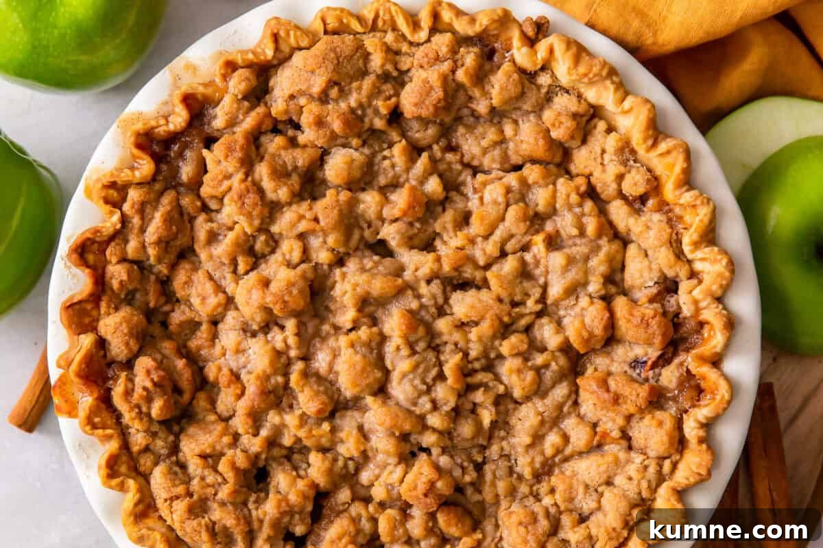 Authentic Dutch Apple Pie Recipe: Classic Ouderwets Appeltaart Guide 15 overhead dutch apple pie with streusel topping