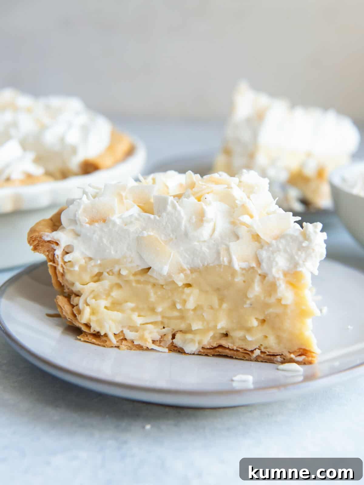 Authentic Dutch Apple Pie Recipe: Classic Ouderwets Appeltaart Guide 16 Coconut Cream Pie
