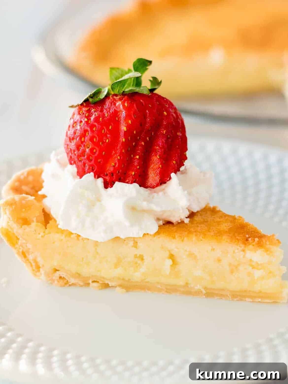 Authentic Dutch Apple Pie Recipe: Classic Ouderwets Appeltaart Guide 19 Buttermilk Pie