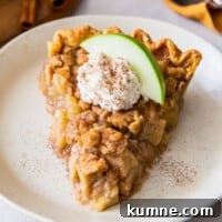 Authentic Dutch Apple Pie Recipe: Classic Ouderwets Appeltaart Guide 4 featured dutch apple pie