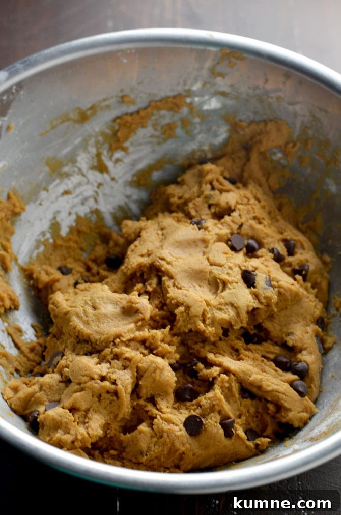 Pumpkin Chocolate Chip Cookie Bars Recipe — Soft, Chewy Squares 3 I've noticed a big backlash lately against pumpkin spice and I just wanted to make my position clear that I am a fan of pumpkin. My coffee is currently pumpkin. I like my home to smell like pumpkin. I enjoy pretty much any pumpkin baked good. If there was a pumpkin lotion or something I am betting I would buy it. And I'm just gonna throw this out there knowing there will be some strong reactions-I really like pumpkin beer. I also enjoy picking out, carving and displaying actual pumpkins. I am comfortable with my pumpkin choices and thought it was time I let my voice be heard. I stand with pumpkin spice.