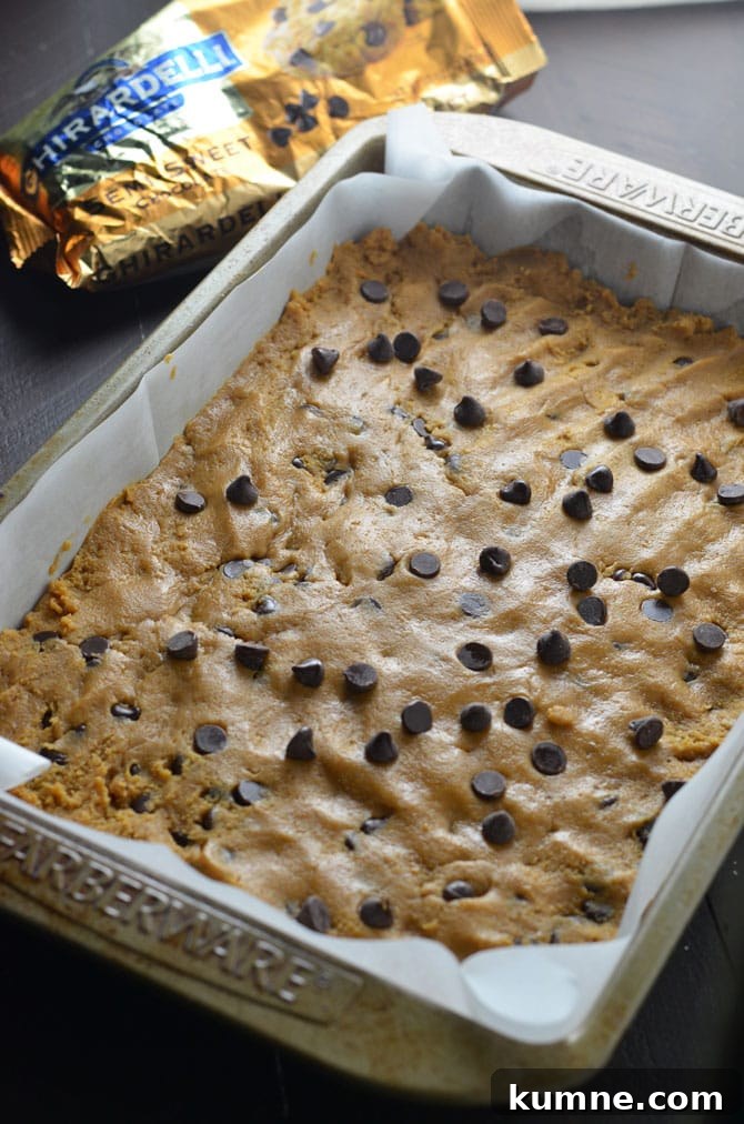 Pumpkin Chocolate Chip Cookie Bars Recipe — Soft, Chewy Squares 4 I've noticed a big backlash lately against pumpkin spice and I just wanted to make my position clear that I am a fan of pumpkin. My coffee is currently pumpkin. I like my home to smell like pumpkin. I enjoy pretty much any pumpkin baked good. If there was a pumpkin lotion or something I am betting I would buy it. And I'm just gonna throw this out there knowing there will be some strong reactions-I really like pumpkin beer. I also enjoy picking out, carving and displaying actual pumpkins. I am comfortable with my pumpkin choices and thought it was time I let my voice be heard. I stand with pumpkin spice.