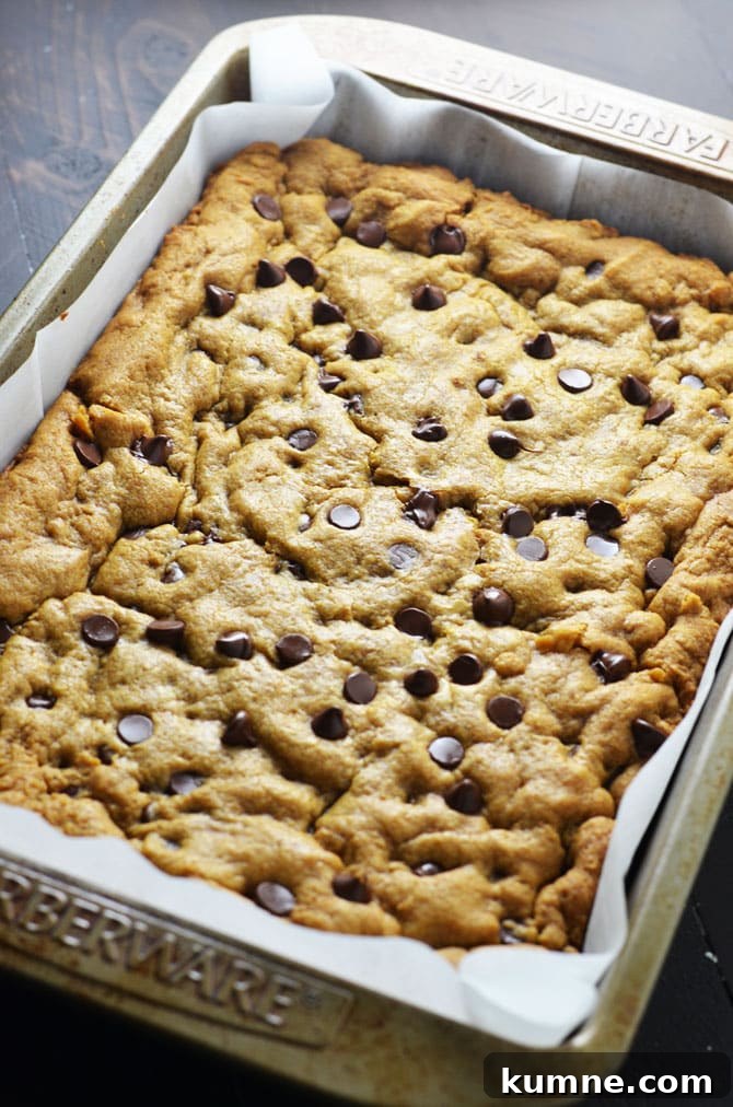 Pumpkin Chocolate Chip Cookie Bars Recipe — Soft, Chewy Squares 5 Pumpkin Chocolate Chip Cookie Bars. Perfect for fall and winter, these soft, pumpkin spiced desserts are a hit, and easy to make from scratch! | hostthetoast.com