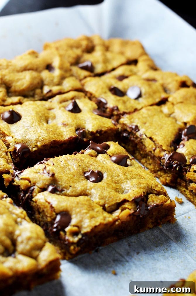 Pumpkin Chocolate Chip Cookie Bars Recipe — Soft, Chewy Squares 7 Pumpkin Chocolate Chip Cookie Bars. Perfect for fall and winter, these soft, pumpkin spiced desserts are a hit, and easy to make from scratch! | hostthetoast.com