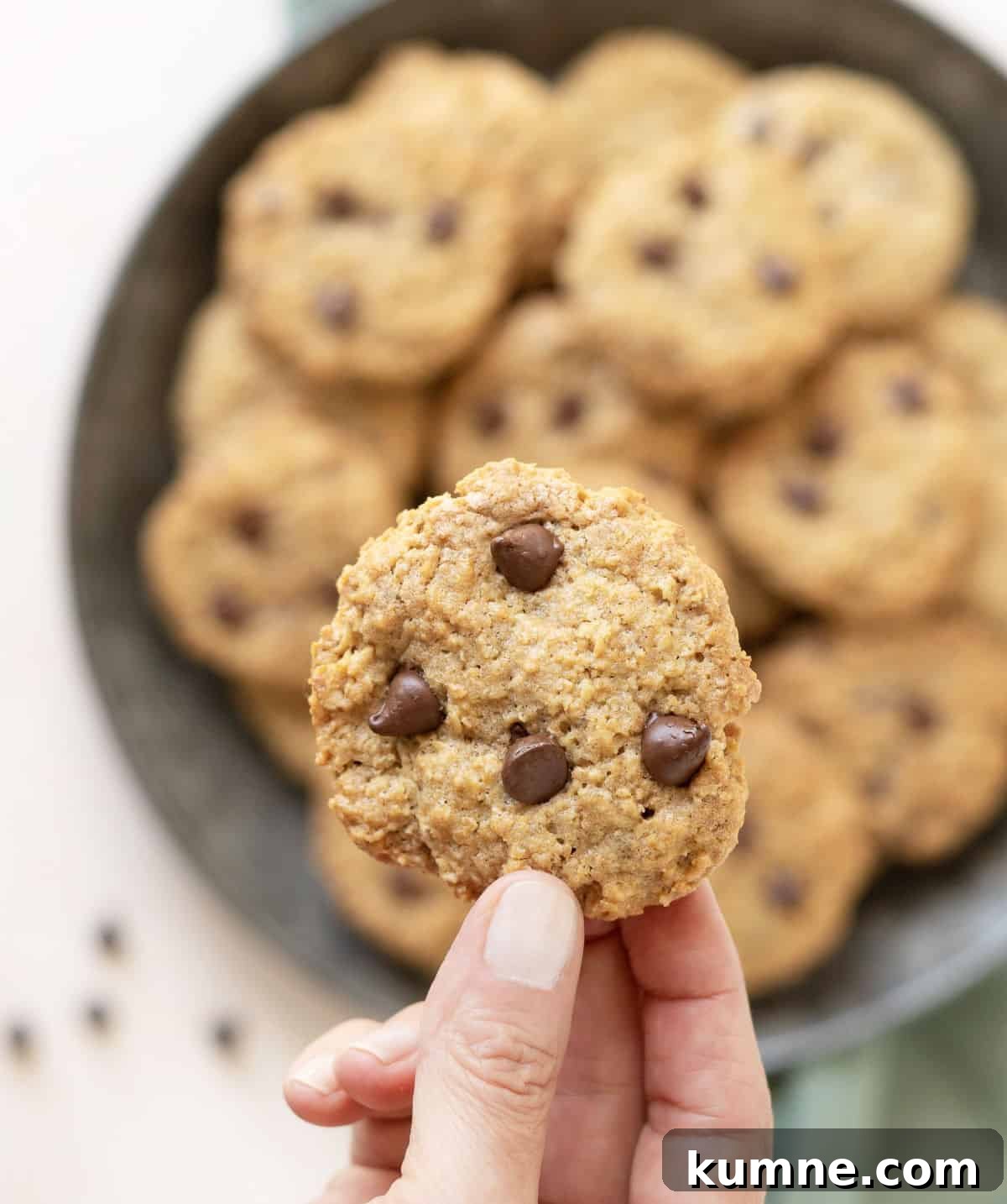 Chewy Chocolate Chip Oatmeal Cookies Recipe for Homemade Treats 3 Hand holding chocolate chip oatmeal cookie over tin plate with pile of more cookies.
