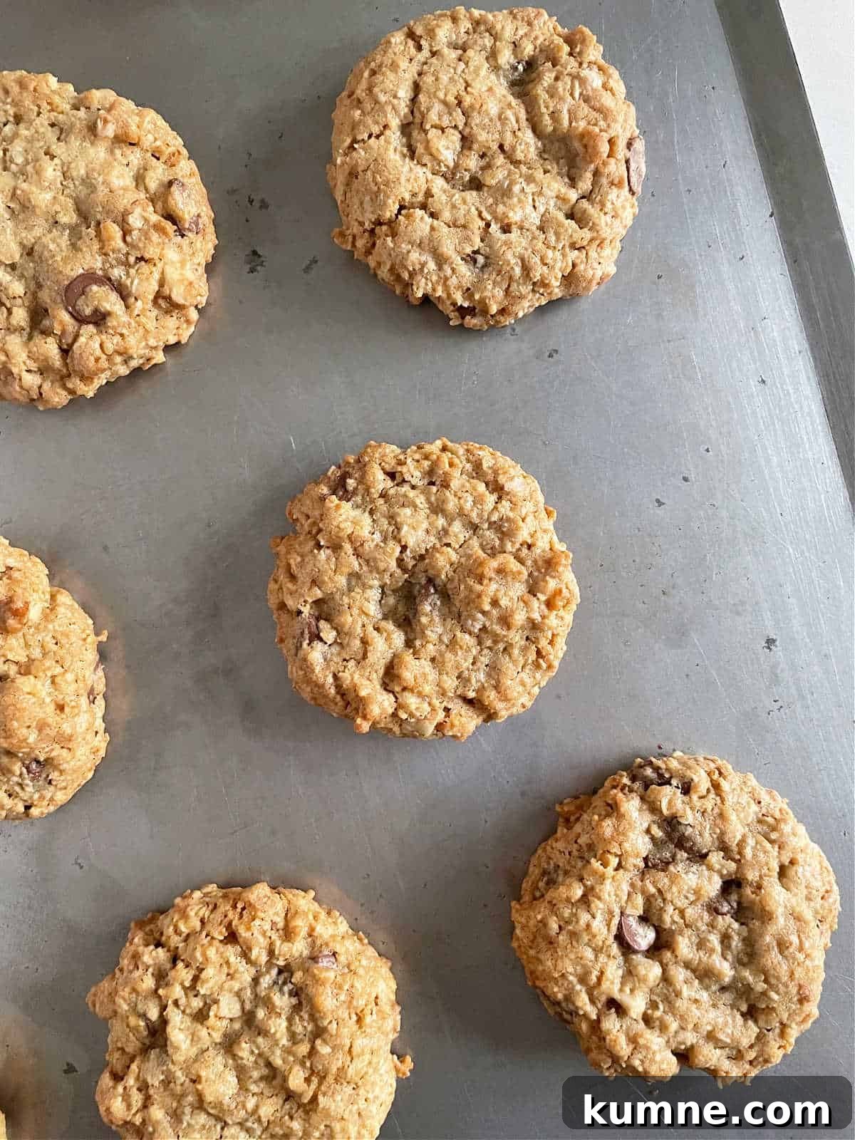 Chewy Chocolate Chip Oatmeal Cookies Recipe for Homemade Treats 6 Top view of metal cookie sheet with baked oatmeal cookies.