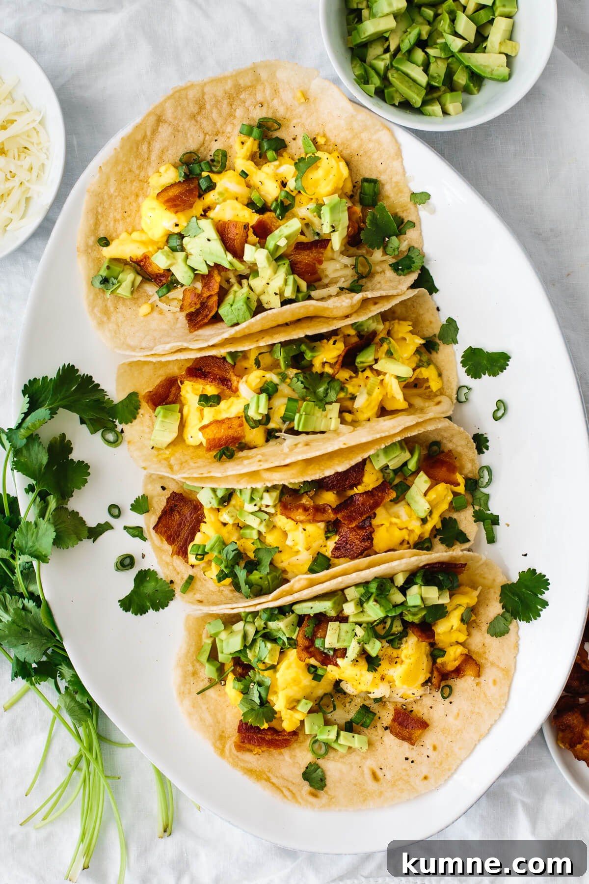 Breakfast tacos on a plate next to cilantro and avocado.