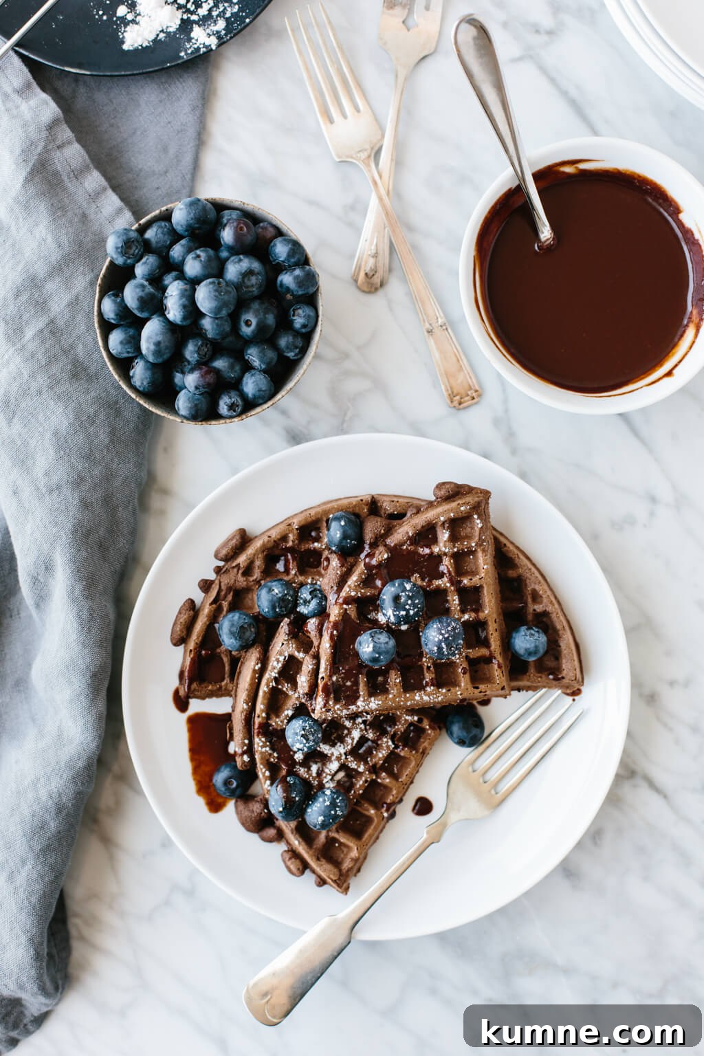 (gluten-free, paleo) These chocolate waffles are utterly delicious and decadent. Made with raw cacao powder they're a family favorite breakfast recipe. Watch the video to learn how to make these paleo waffles.