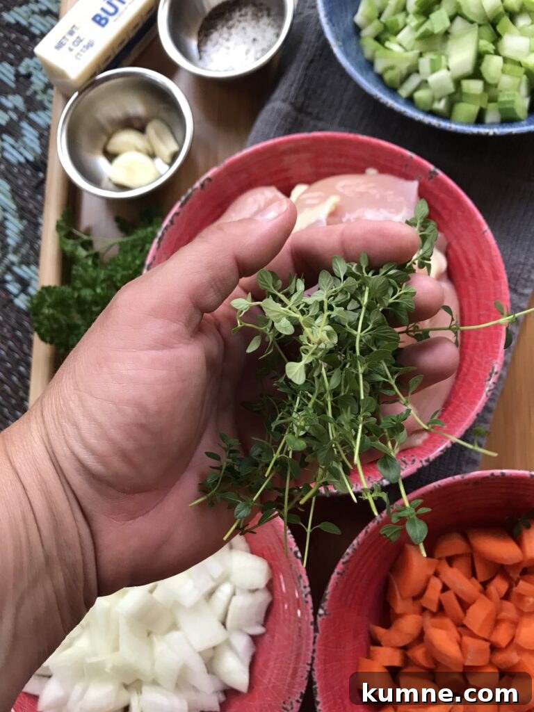 Buttered Noodles in Aromatic Herbed Chicken Broth 8 Thyme