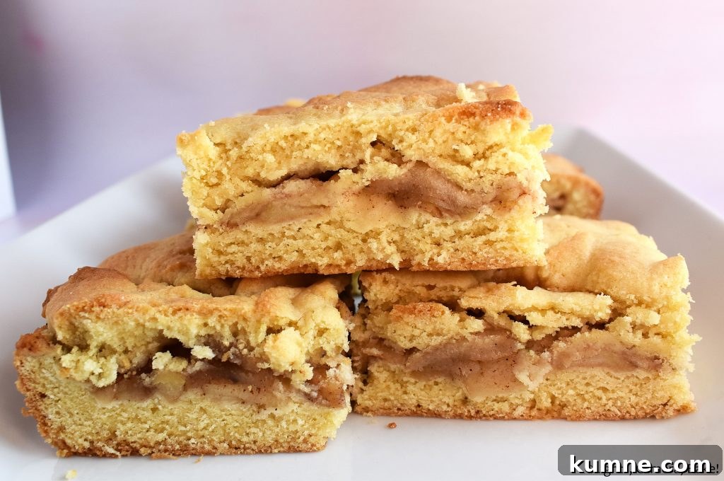 Classic Apple Shortcake Recipe: Flaky Biscuit Apple Dessert 2 Slices of apple shortcake on a plate.