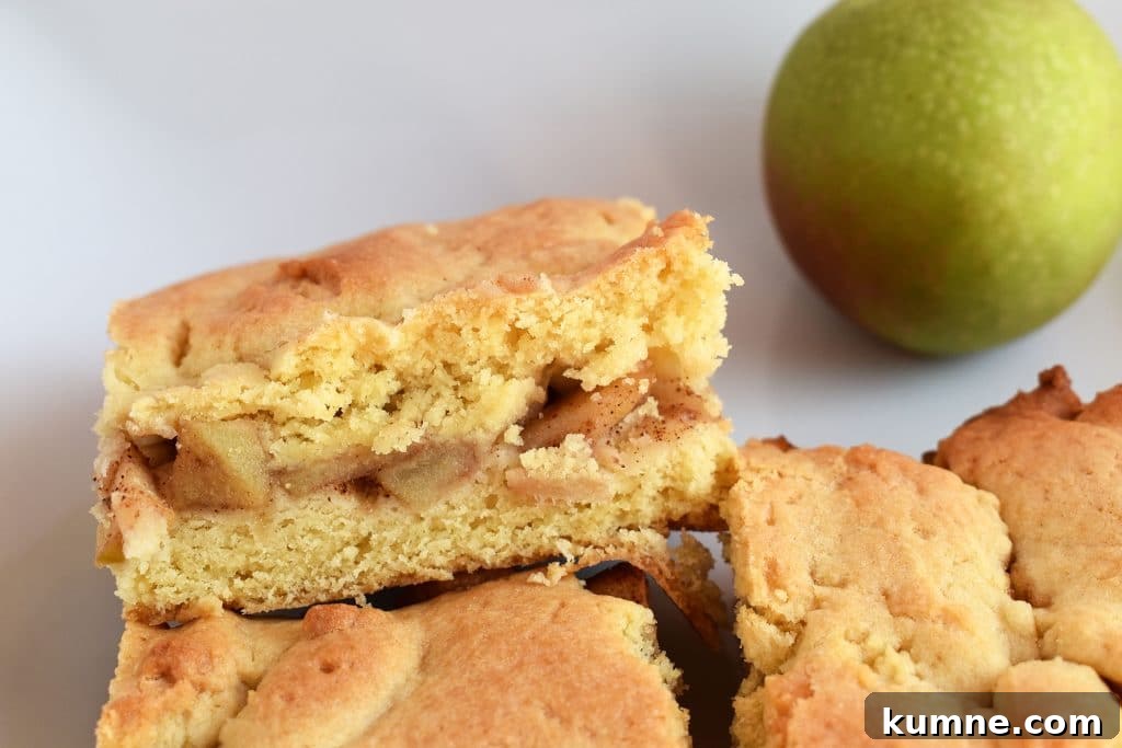 Classic Apple Shortcake Recipe: Flaky Biscuit Apple Dessert 5 Apple shortcake slice and apple on a plate.