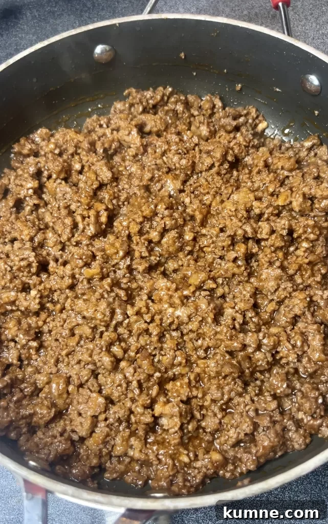 Classic Sloppy Joes Recipe: Quick Homemade Sandwich Filling 5 img 5084 4