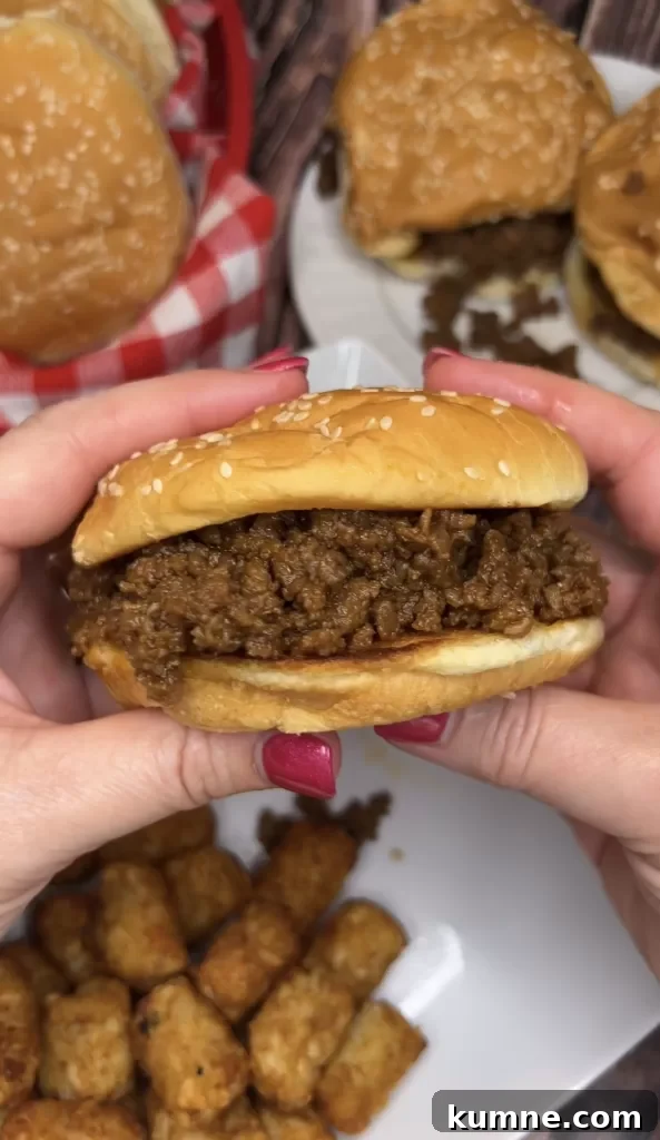 Classic Sloppy Joes Recipe: Quick Homemade Sandwich Filling 8 img 5084 7