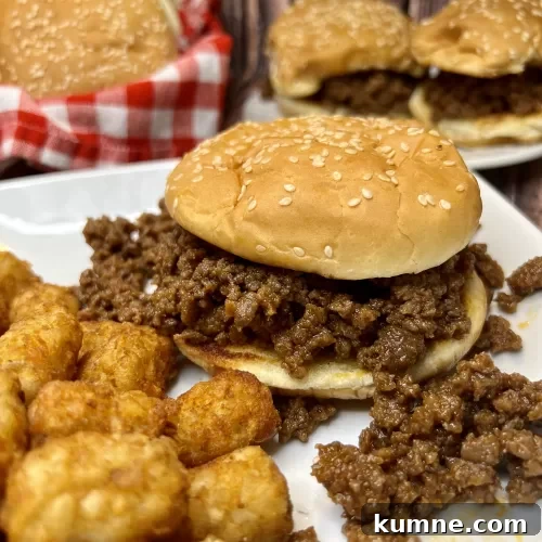 Classic Sloppy Joes Recipe: Quick Homemade Sandwich Filling 9 img 5084 8