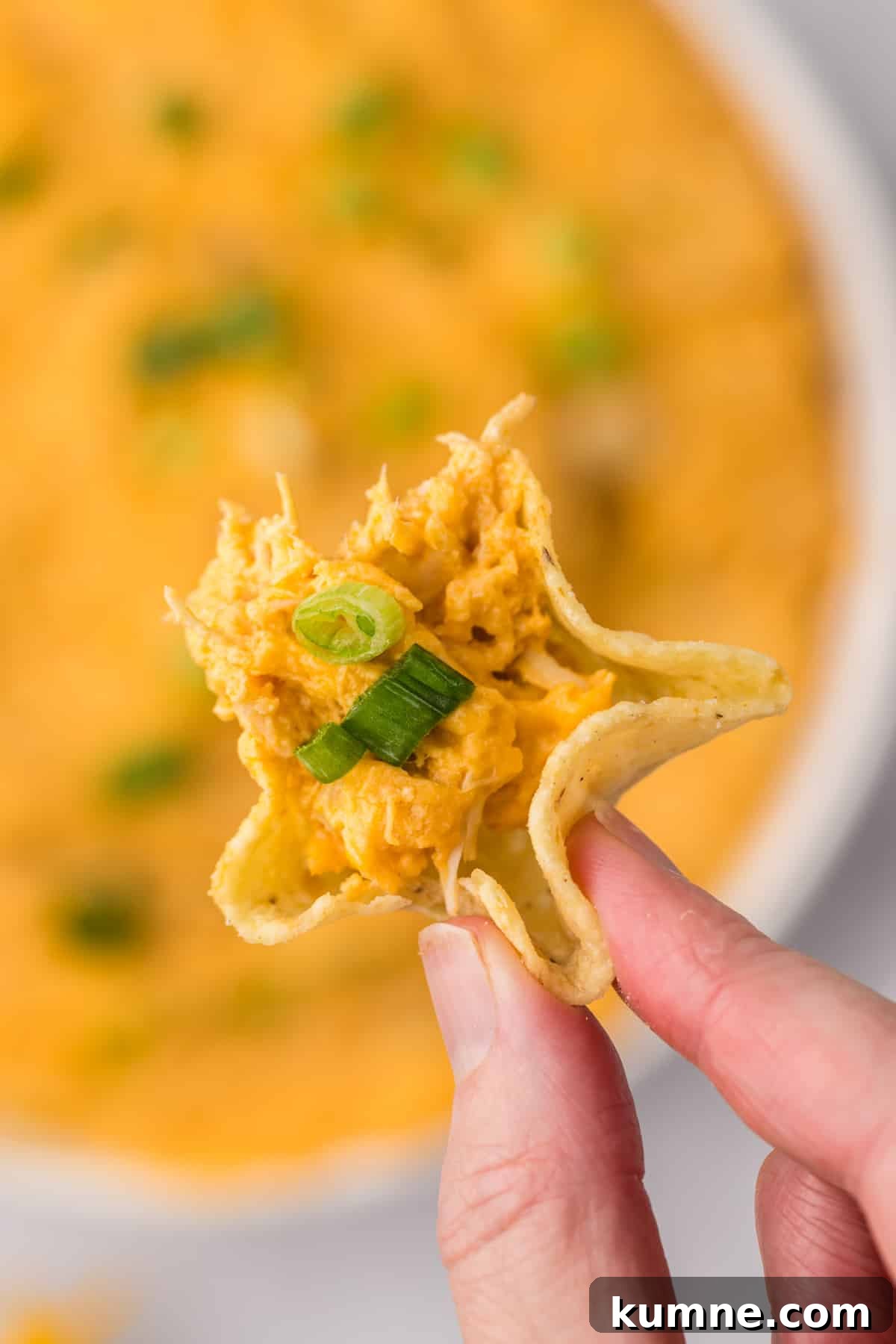Slow Cooker Buffalo Chicken Dip Recipe for Game Day Snacks 13 A tortilla scoop with buffalo chicken dip inside.