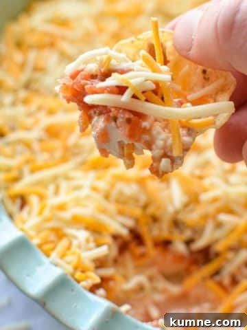 A chip being dipped into a cold salsa and cream cheese taco dip.