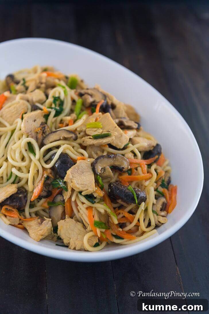 Longevity Noodles with Chicken and Mushroom