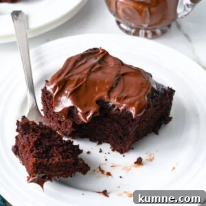 Sokolatopita, a Greek chocolate cake soaked in syrup.