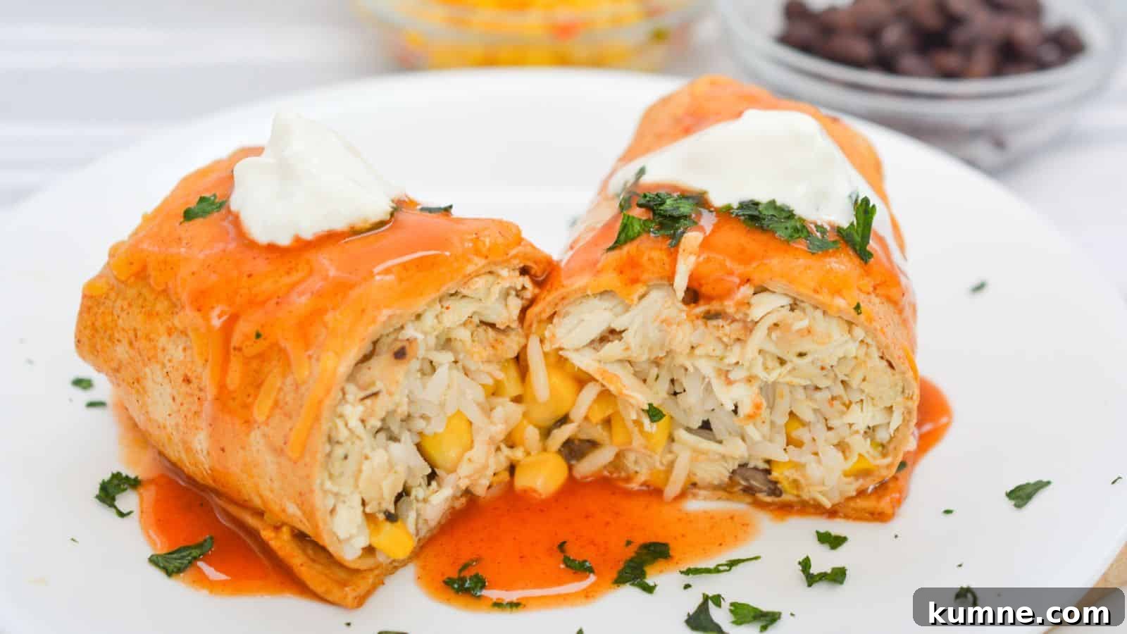 Chicken wet burrito with salsa and sour cream on a white plate.