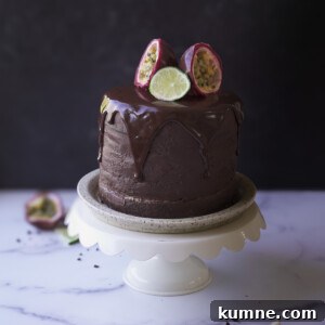 Chocolate passionfruit layer cake