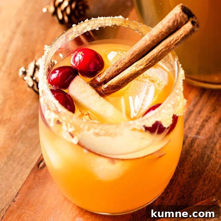 A glass of apple cider sangria garnished with cranberries, cinnamon stick a brown sugar caramel rim.