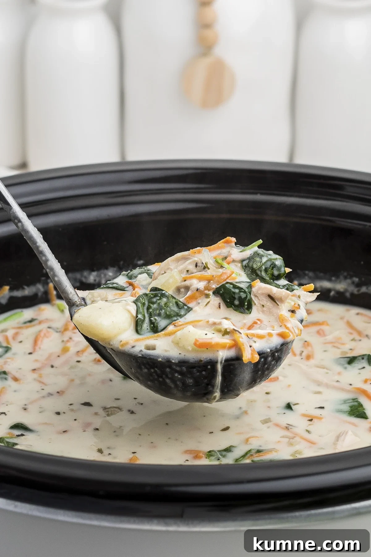 Slow Cooker Chicken and Gnocchi Soup Recipe 2 chicken gnocchi soup on ladle.
