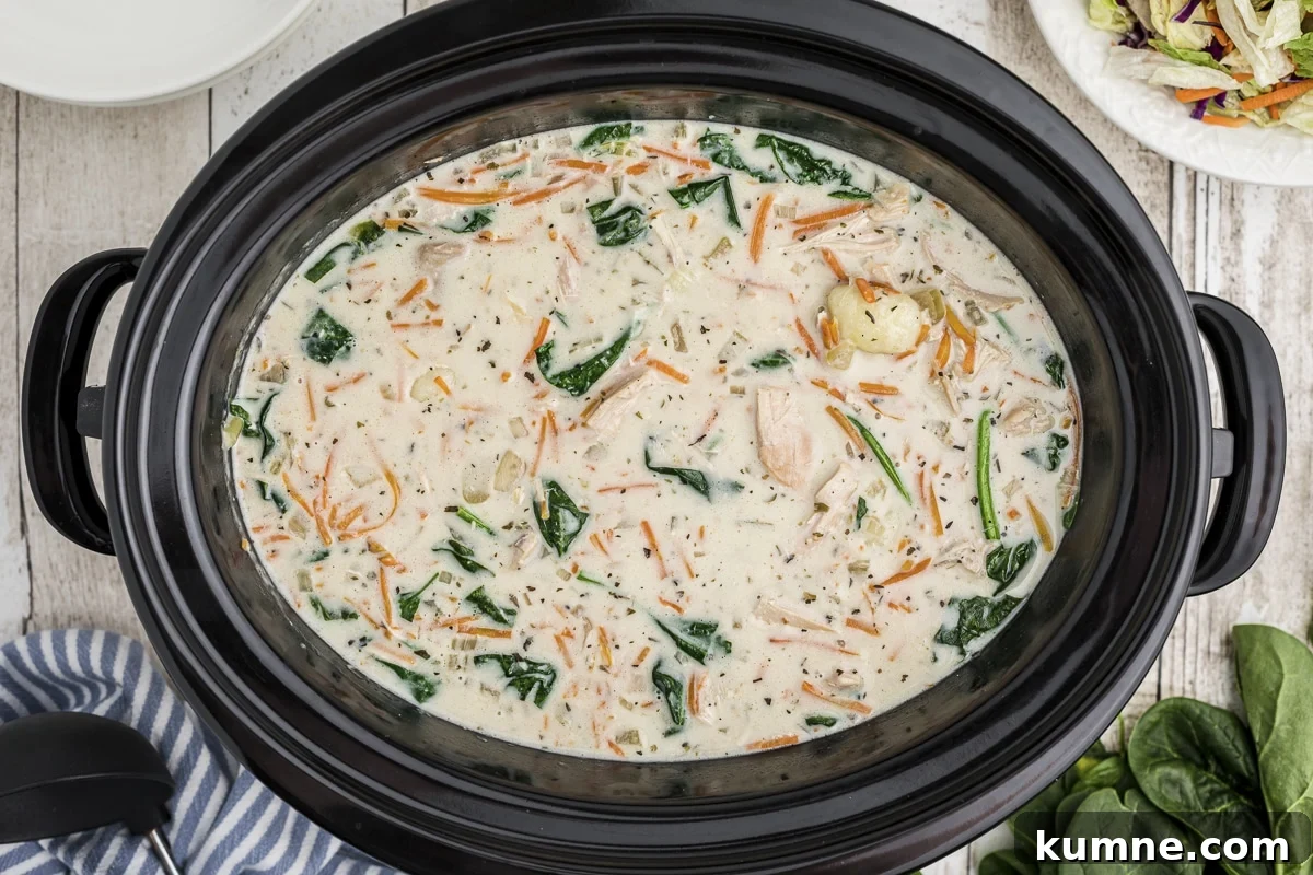 Slow Cooker Chicken and Gnocchi Soup Recipe 5 chicken gnocchi soup over head shot in crockpot.