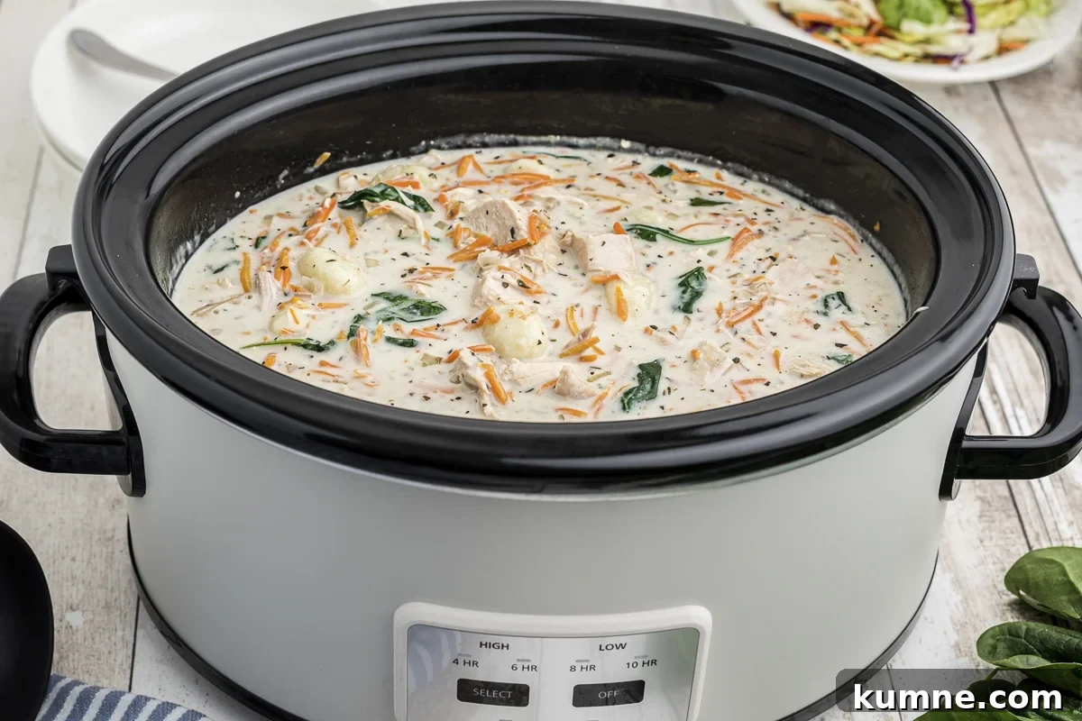 Slow Cooker Chicken and Gnocchi Soup Recipe 6 side view of chicken gnocchi soup