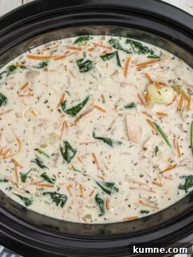 Slow Cooker Chicken and Gnocchi Soup Recipe 9 chicken gnocchi soup over head shot in crockpot.
