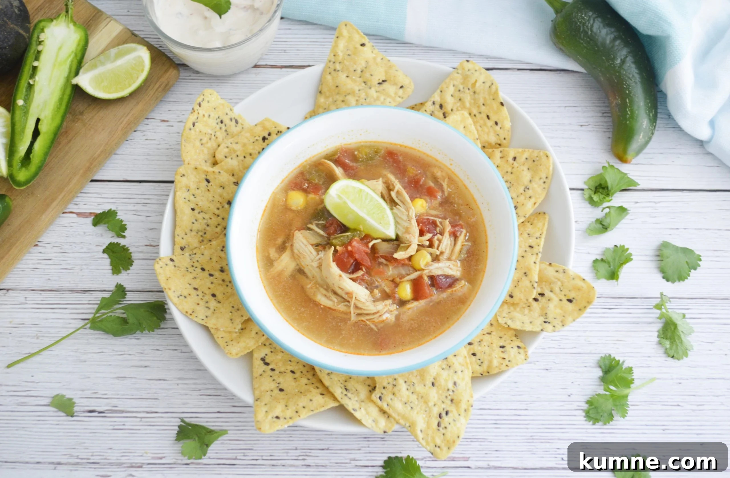 Spicy Slow Cooker Chicken Tortilla Soup
