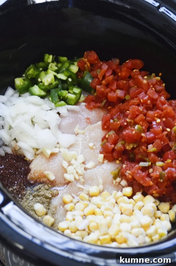 Spicy Chicken Tortilla soup ingredients in slow cooker