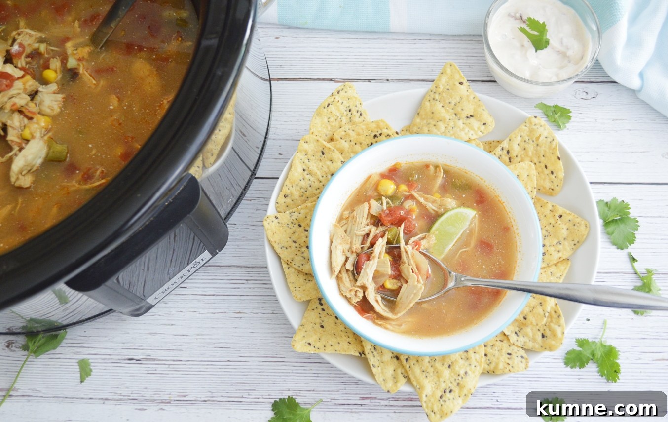 Slow cooker and chicken tortilla soup with spoon