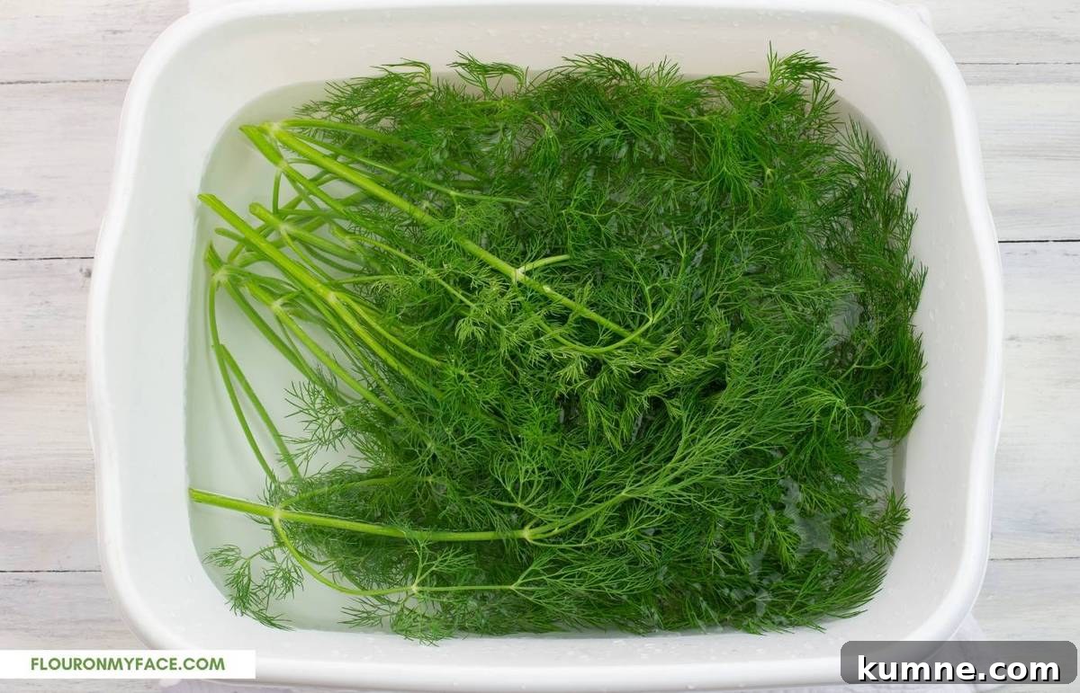 Rinsing dill in a white plastic tub.