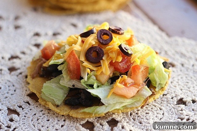 Crispy Baked Tostadas with Seasoned Chicken and Fresh Salsa 3 t22