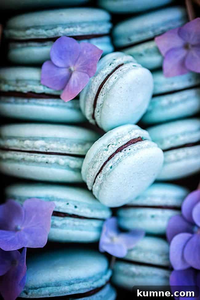 Close up of vegan macarons with avocado chocolate filling