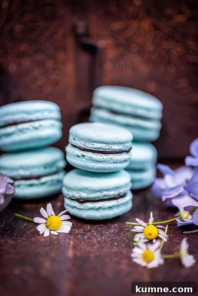 Vegan aquafaba macarons with avocado chocolate filling | Supergolden Bakes